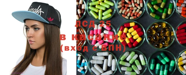 ГАЛЛЮЦИНОГЕННЫЕ ГРИБЫ Алзамай