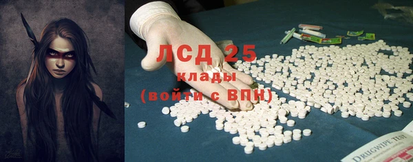 ГАЛЛЮЦИНОГЕННЫЕ ГРИБЫ Алзамай
